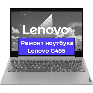 Чистка от пыли и замена термопасты на ноутбуке Lenovo G455 в Ростове-на-Дону
